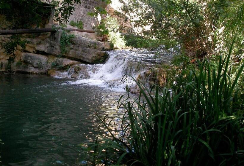 住宿加早餐  Le Vieux Moulin