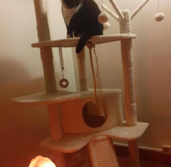 민박 Maison D Hôtes Archangels Home