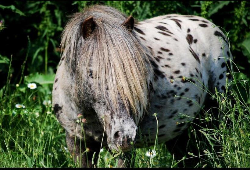 Хостел Les Terres De Saint Hilaire