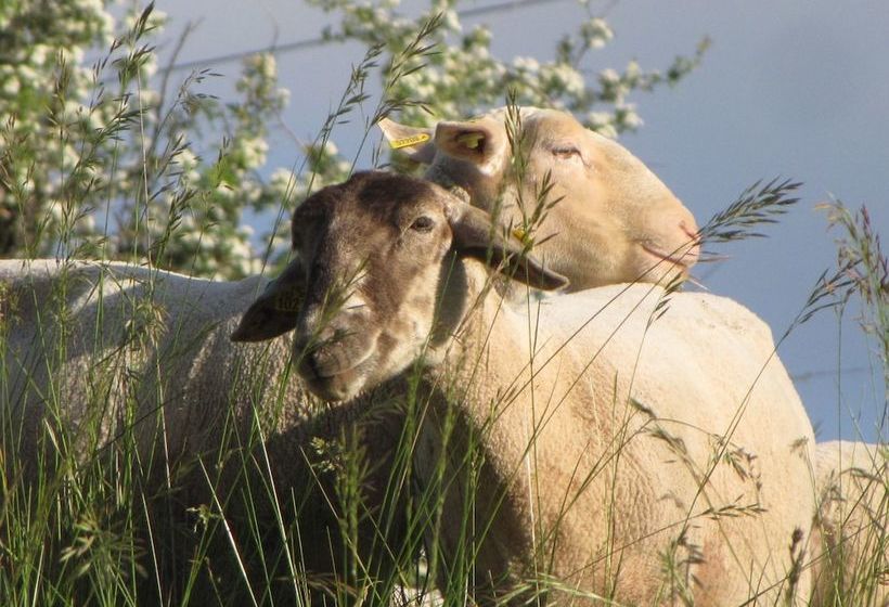 צימר La Chambre Du Cladan