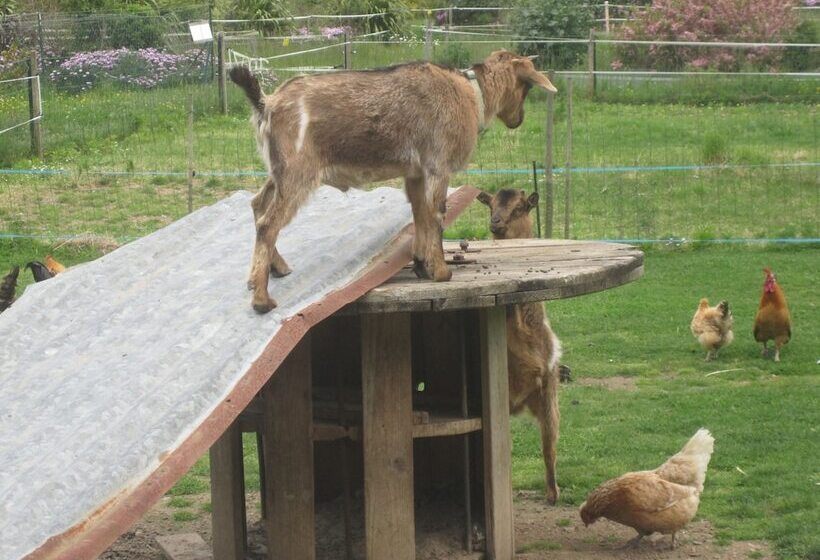 Отель Camping Les Capucines