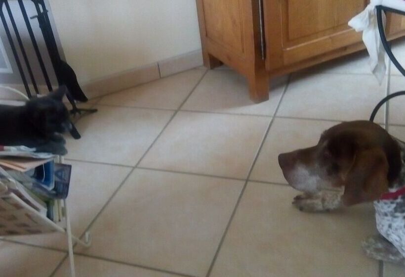 פנסיון Alaguyauder La Chambre