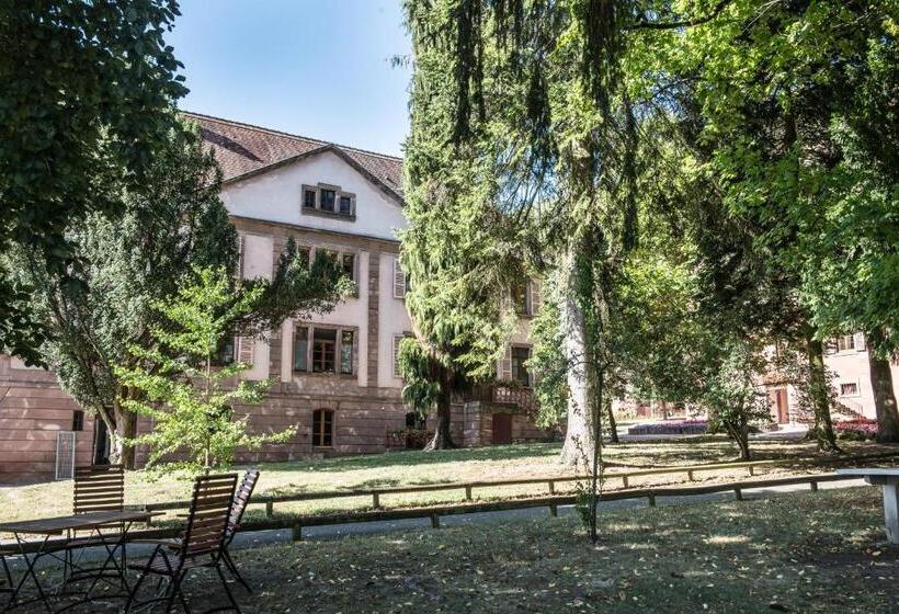 Пансион Lerie Du Couvent Oberbronn