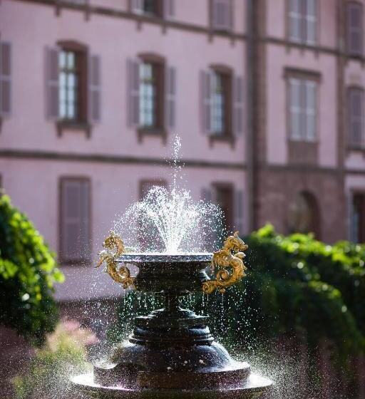 Пансион Lerie Du Couvent Oberbronn