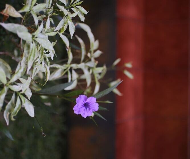 펜션 In Da Garden