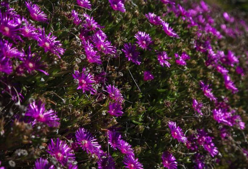 펜션 La Petite Cour Verte