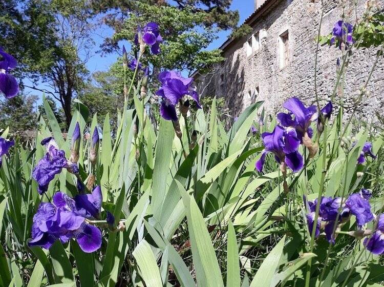 민박 Maison D Hôtes Mas De La Chadenede