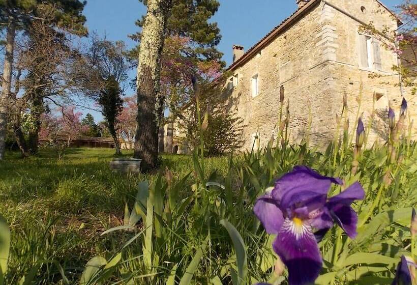 민박 Maison D Hôtes Mas De La Chadenede