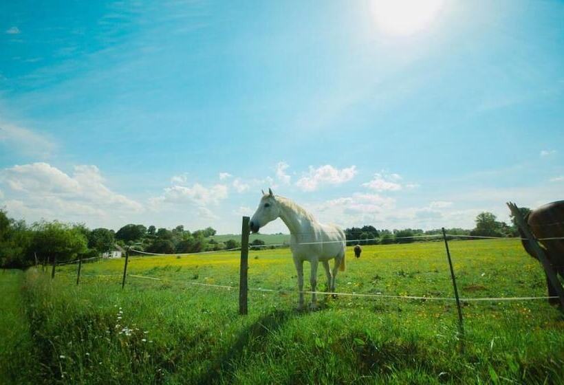여관 Le Dortoir à La Ferme Des Epis