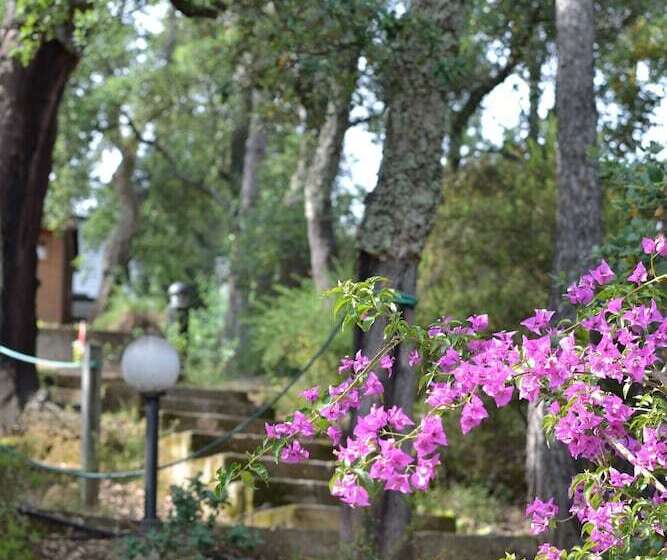 ホテル Camping Les Albères   Maeva