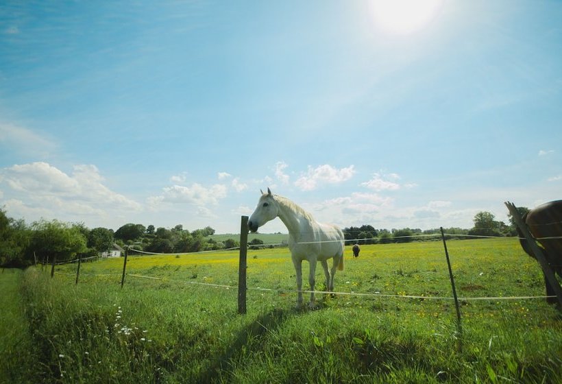 Les Roulottes à La Ferme Des Epis