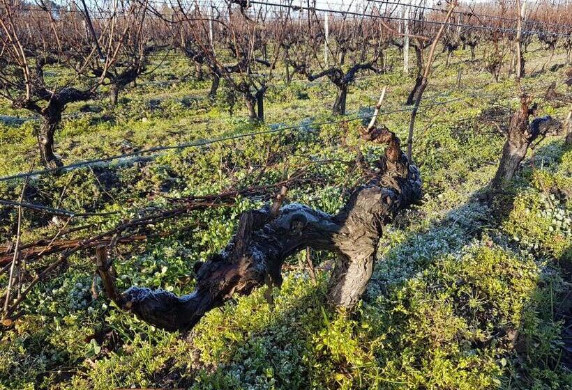 펜션 Domaine De Sahil
