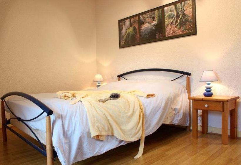 Rhodogites Du Goëlo  Rhododendron