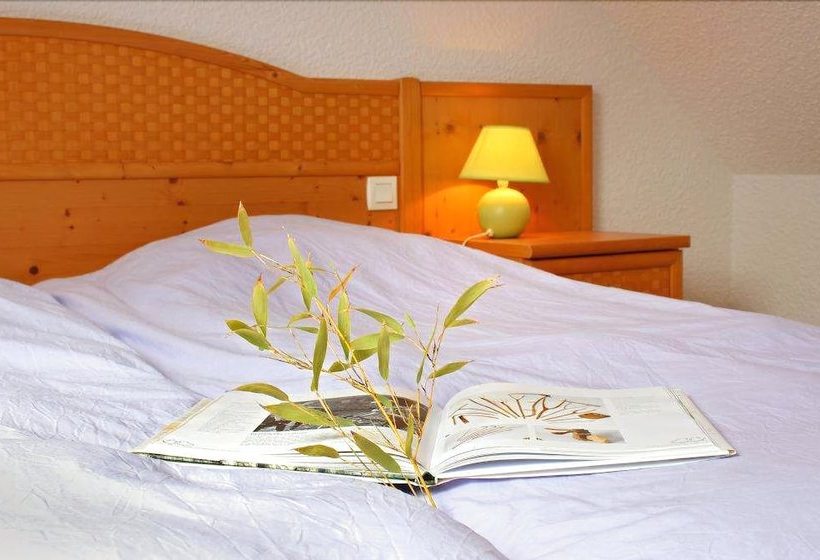 Rhodogîtes Du Goëlo  Bruyère