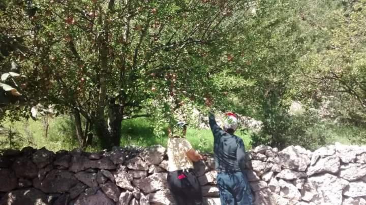 호텔 Cabañas De Lolita En Barrancas Del Cobre