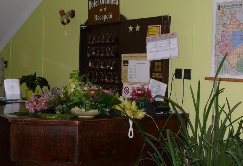 فندق Orchidea