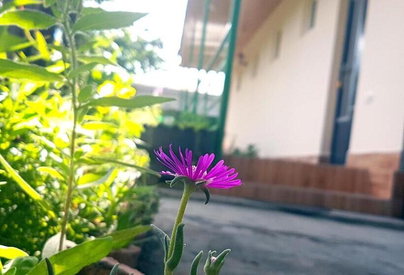 پانسیون Guest House Villa