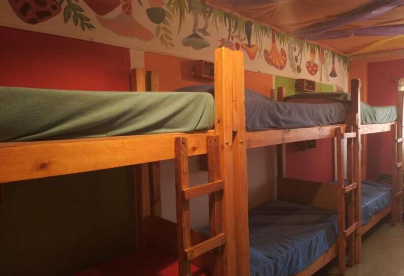 پانسیون Hostel La Casita Naranja