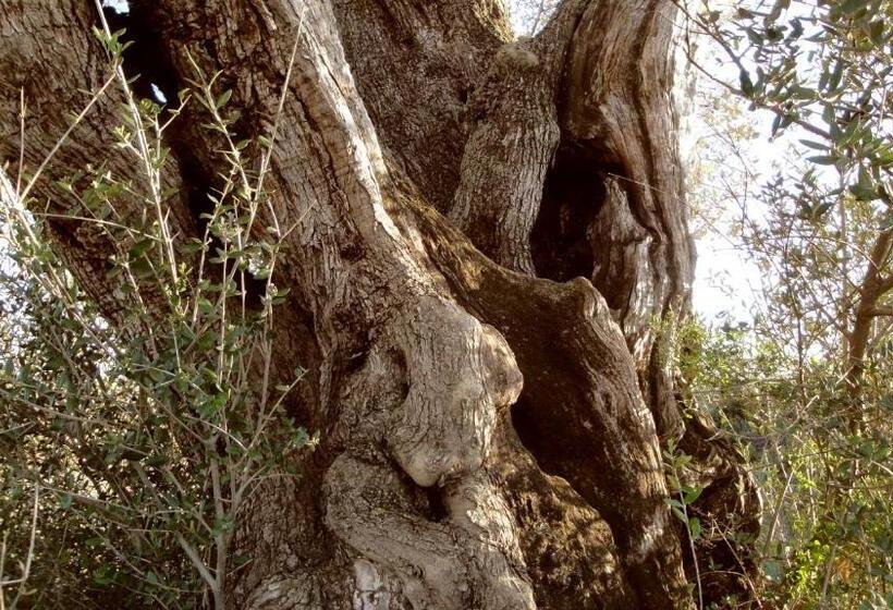 Complejo Rural Turimaestrat