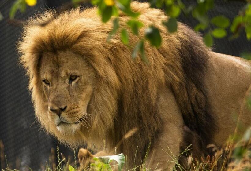 Dyreparken Safarihotell