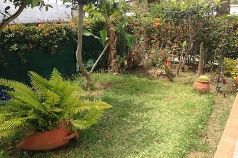 Green Oasis Beach Flor Bungalows