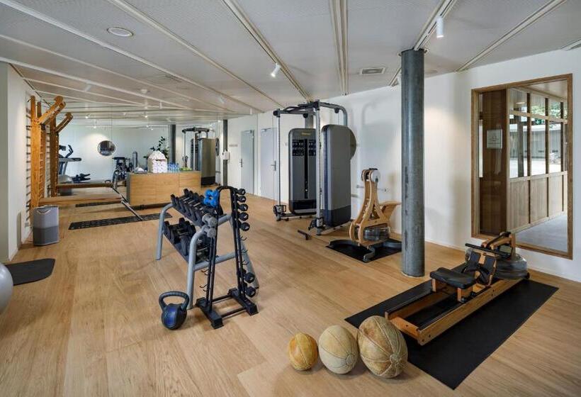 Отель Allegra Lodge