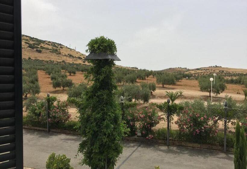 酒店 Apartamentos Atalayas Extremadura