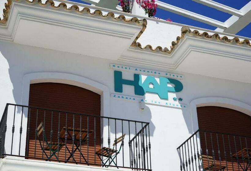 酒店 Avenida Playa