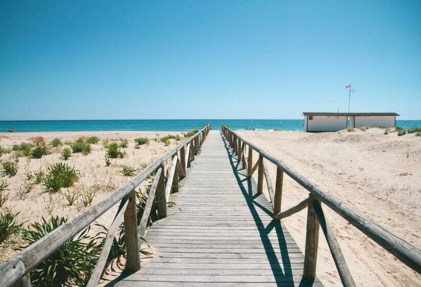 酒店 Avenida Playa