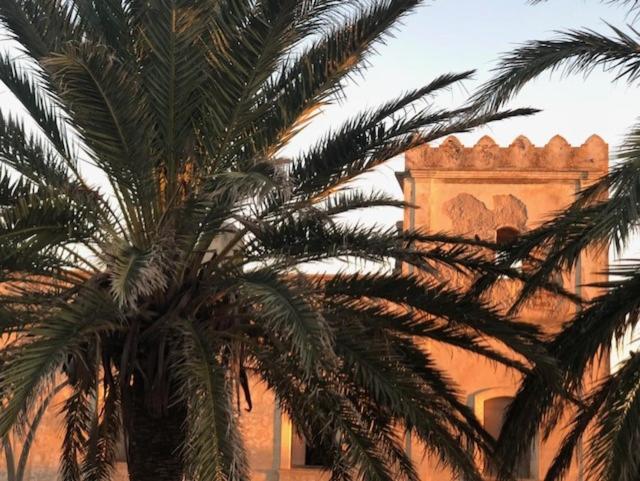 酒店 Avenida Playa