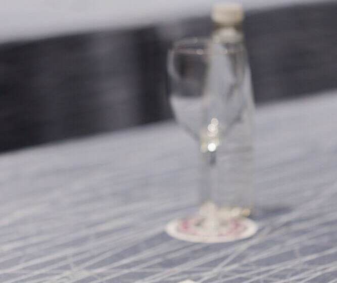 هتل Camino Real Aeropuerto