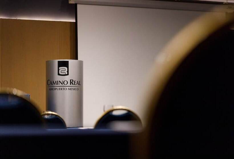 هتل Camino Real Aeropuerto