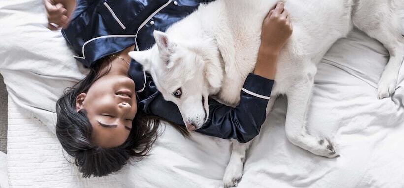 호텔 Campanile Lyon Bron Eurexpo