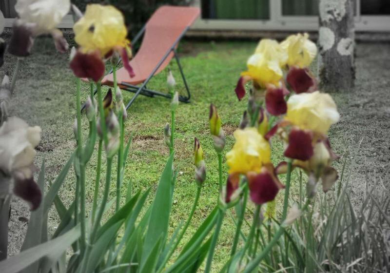 Отель Kyriad Angoulême Nord Champniers Hôtel & Résidence