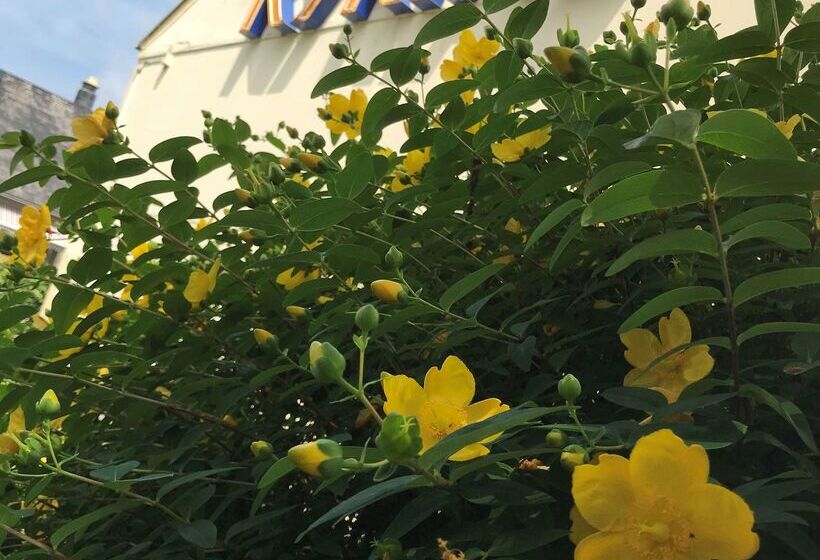 ホテル Kyriad Tarbes Odos