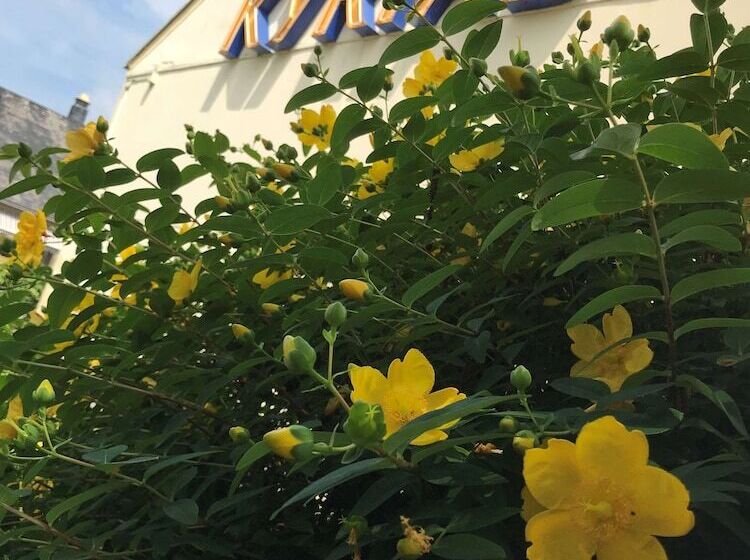 ホテル Kyriad Tarbes Odos