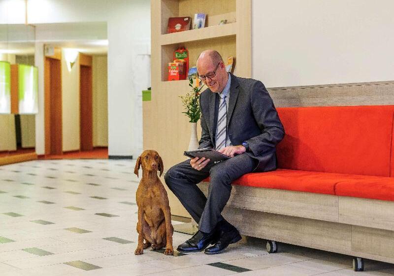 Отель Am Gorzberg Greifswald