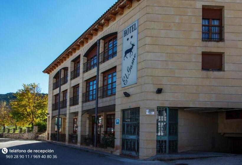 בית מלון כפרי El Gamo