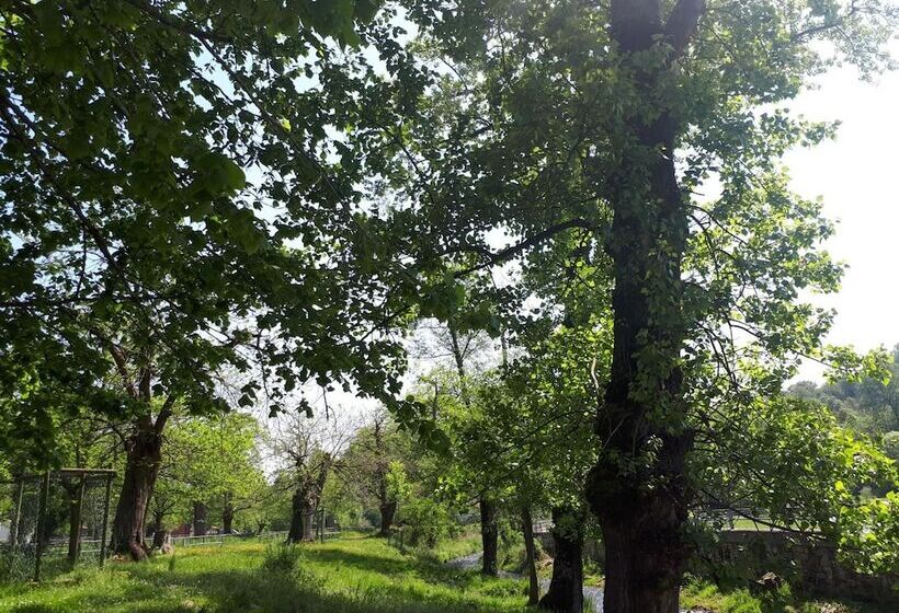 فندق ريفى Entremontes