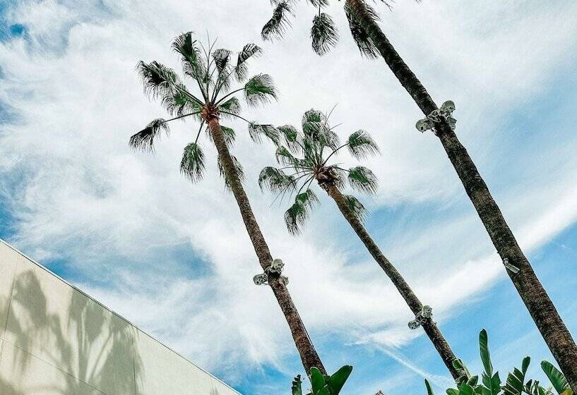 호텔 The Beverly Hilton