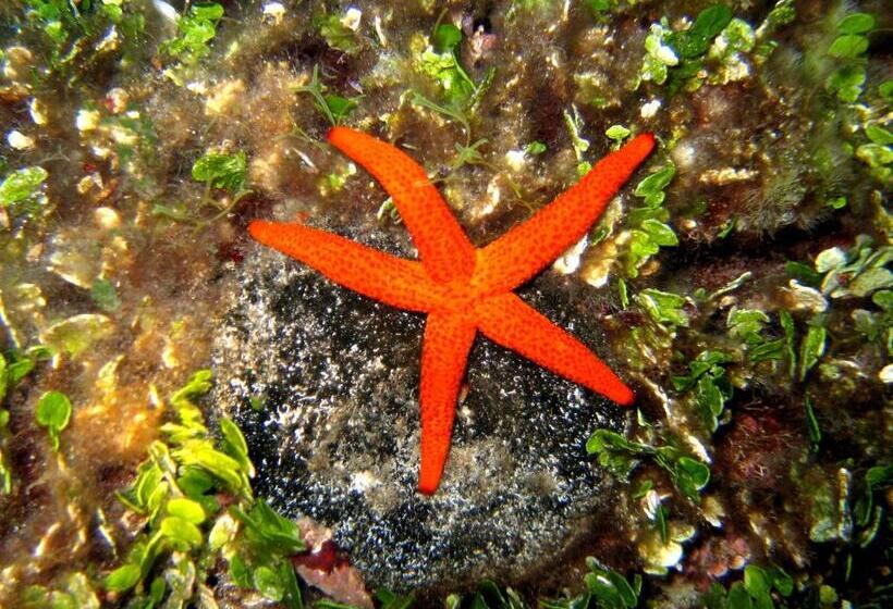 Priscapac Resort & Apartments