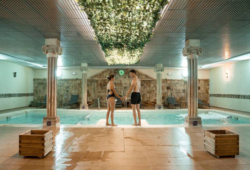 استراحتگاه Magic Robin Hood