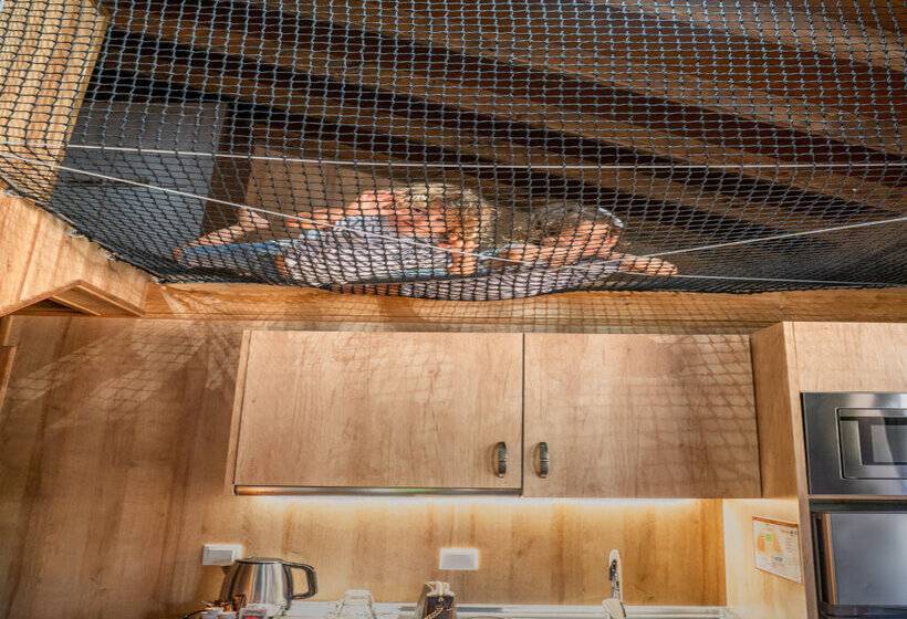 استراحتگاه Magic Robin Hood