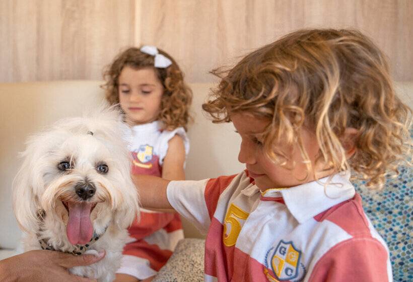 استراحتگاه Magic Robin Hood