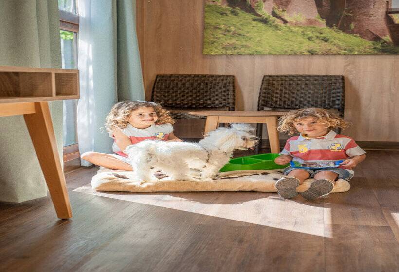 استراحتگاه Magic Robin Hood