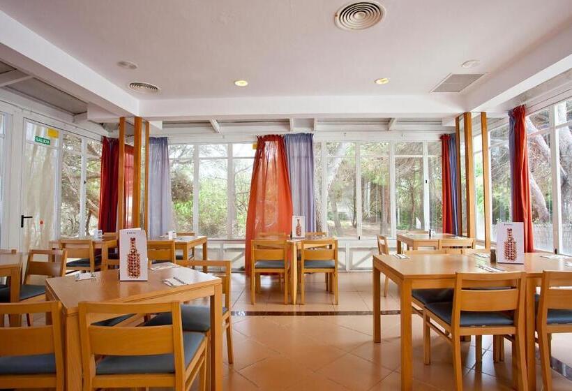 Seth Mestral & Llebeig