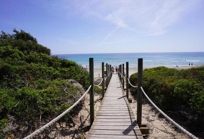 Seth Mestral & Llebeig