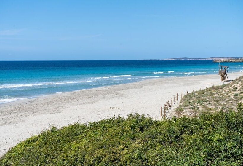 Seth Mestral & Llebeig