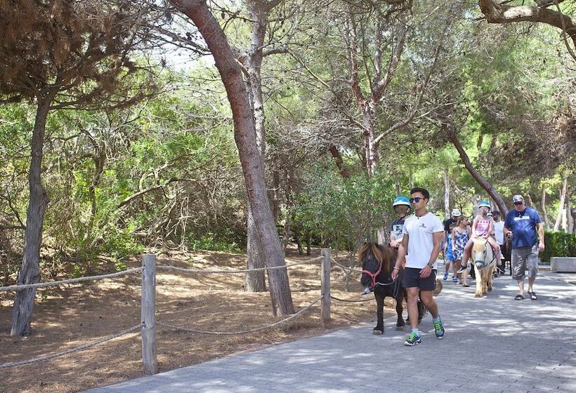 Seth Mestral & Llebeig