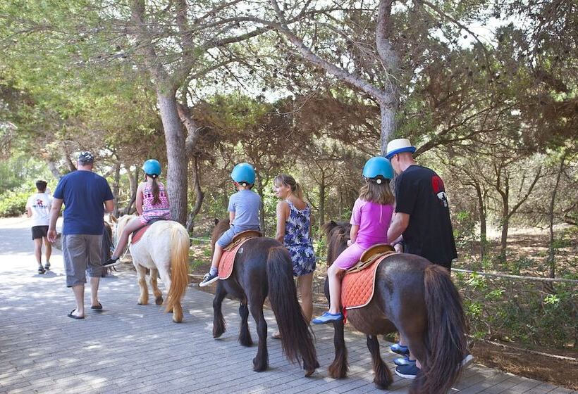 Seth Mestral & Llebeig